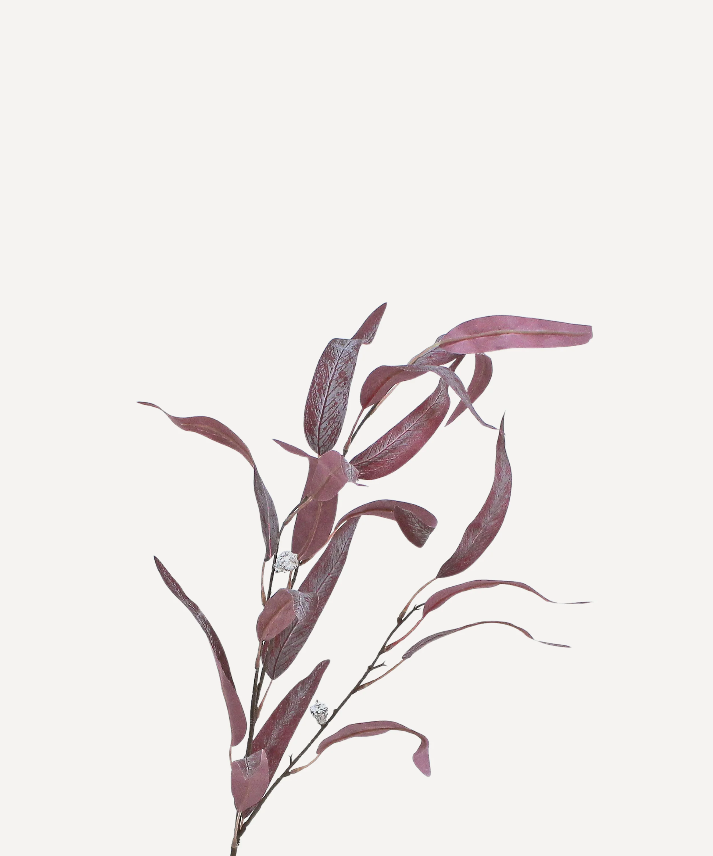 Flowering Willow Eucalyptus - Faux Foliage Stems - Green, Auburn - Image 4