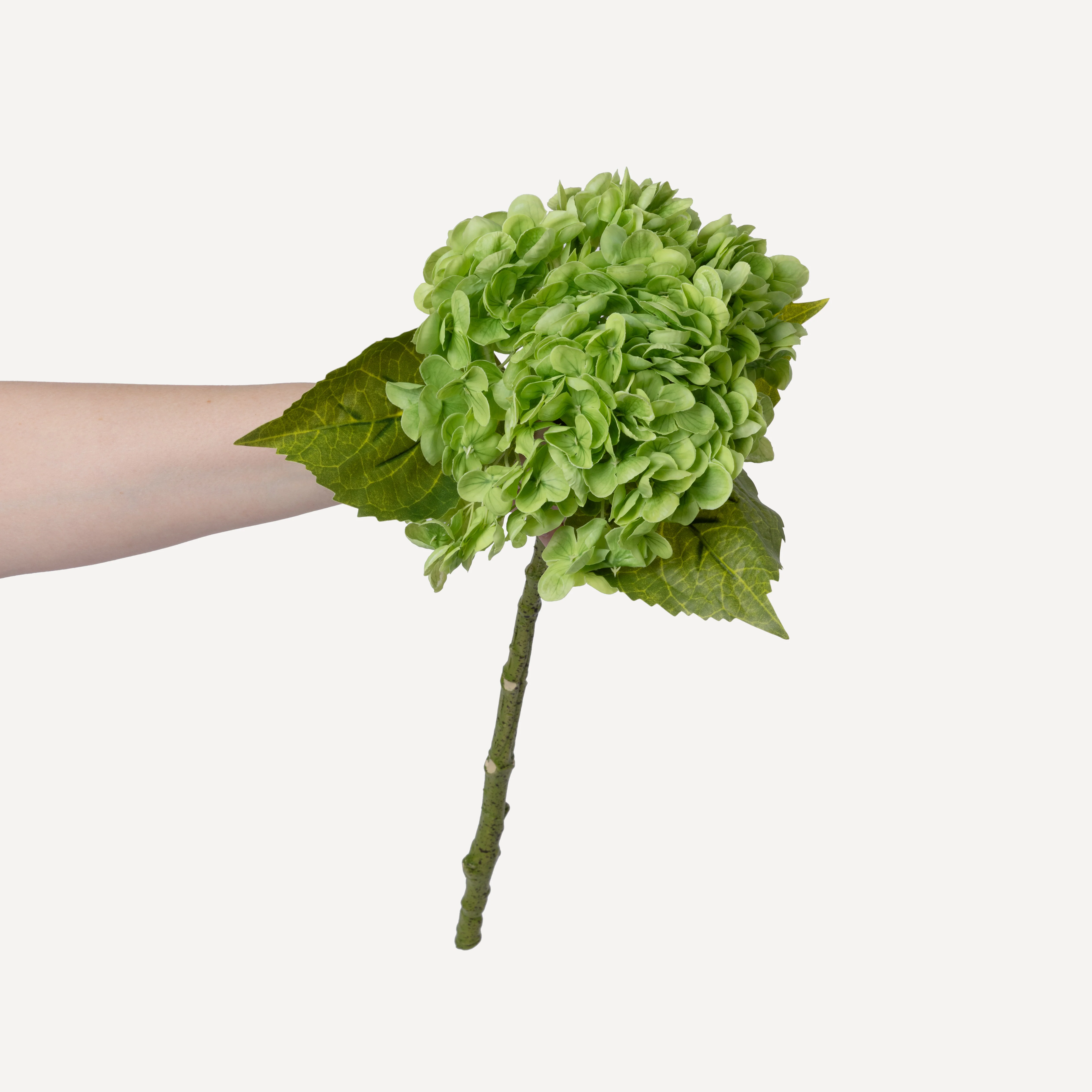 Hydrangeas - Faux Flower Stems - White, Light Green, Lavender, Blue, Green - Image 35