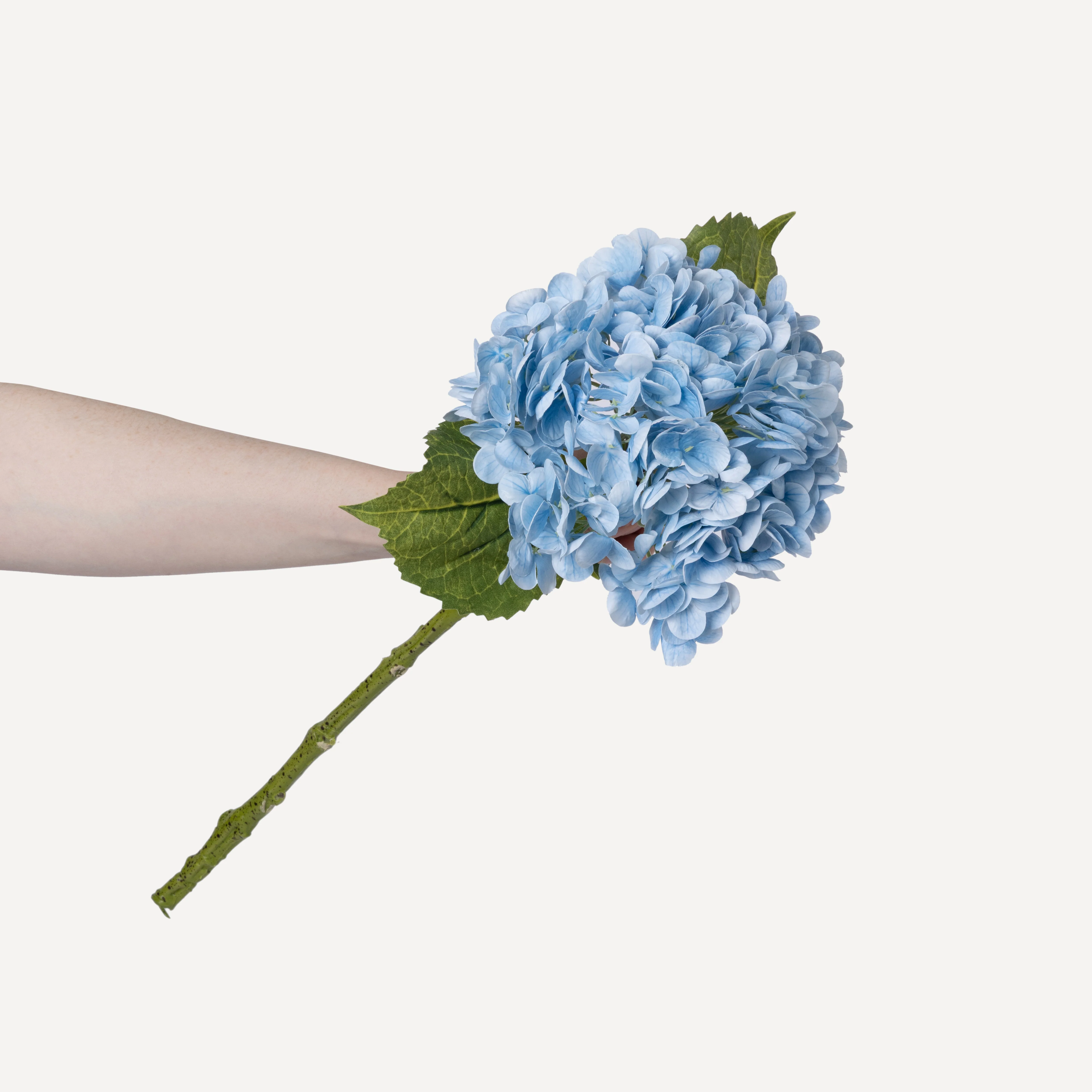 Hydrangeas - Faux Flower Stems - White, Light Green, Lavender, Blue, Green - Image 44