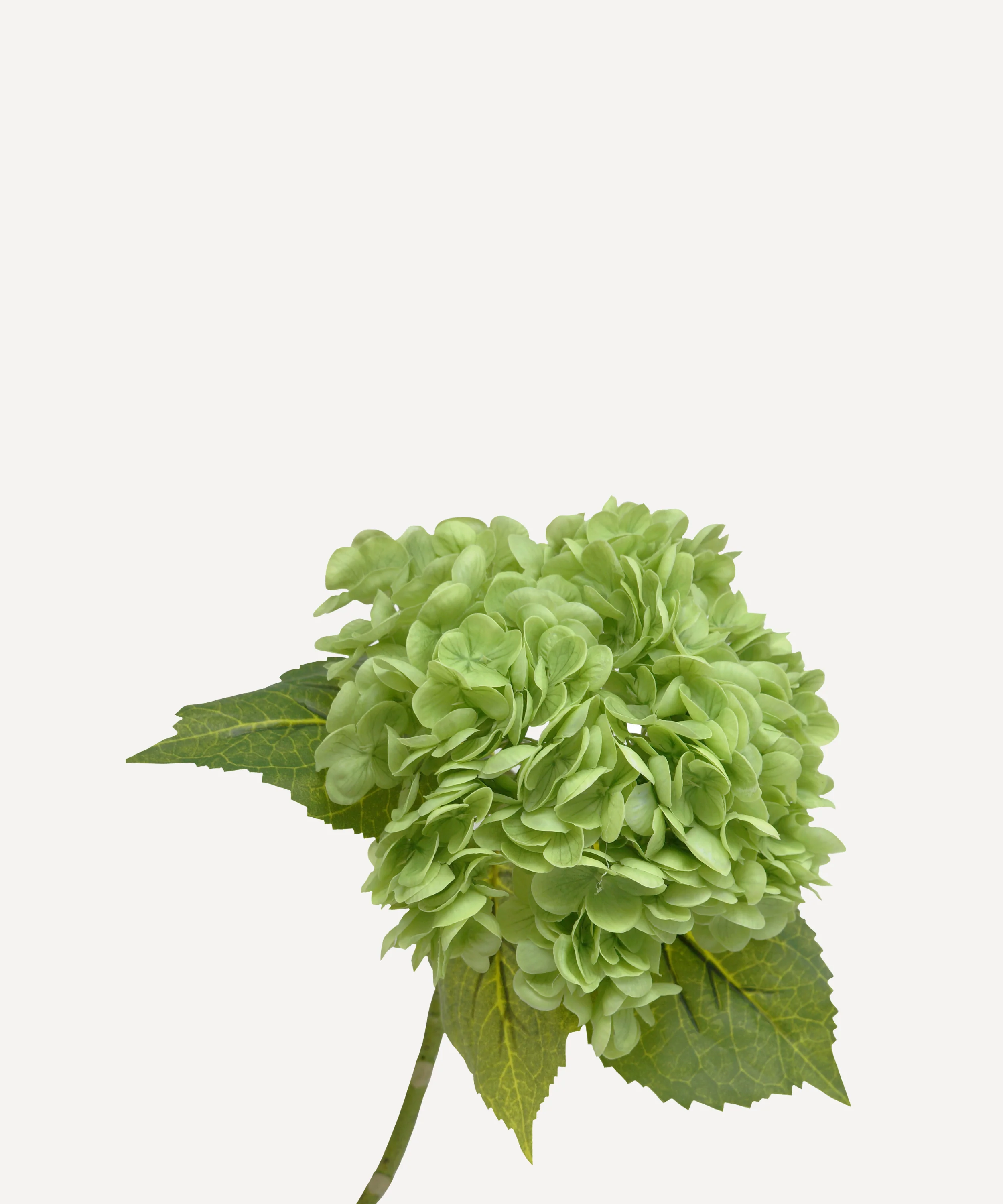 Hydrangeas - Faux Flower Stems - White, Light Green, Lavender, Blue, Green - Image 9