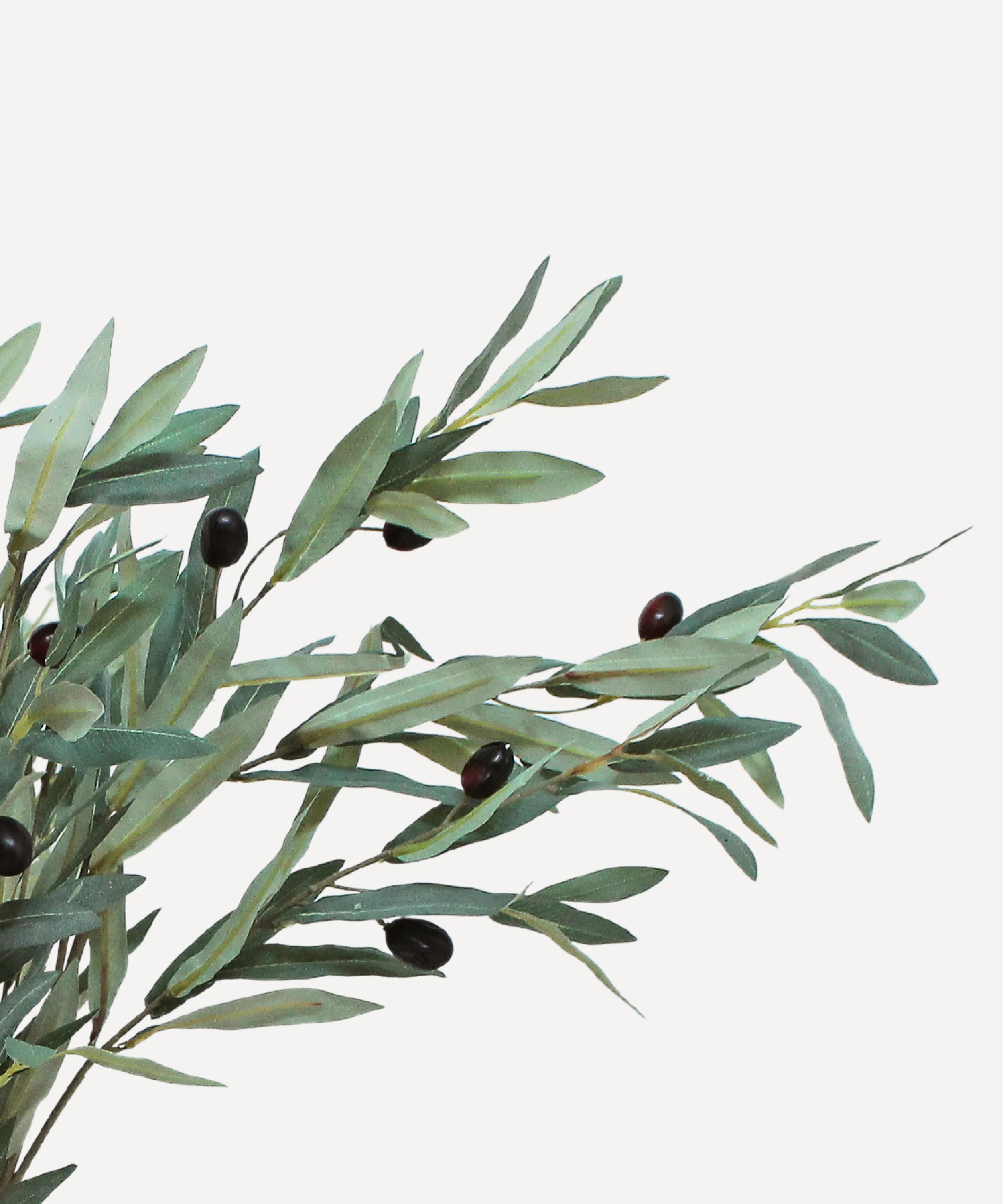 Olive Branches - Faux Foliage Stems - Tea, Forest - Image 11