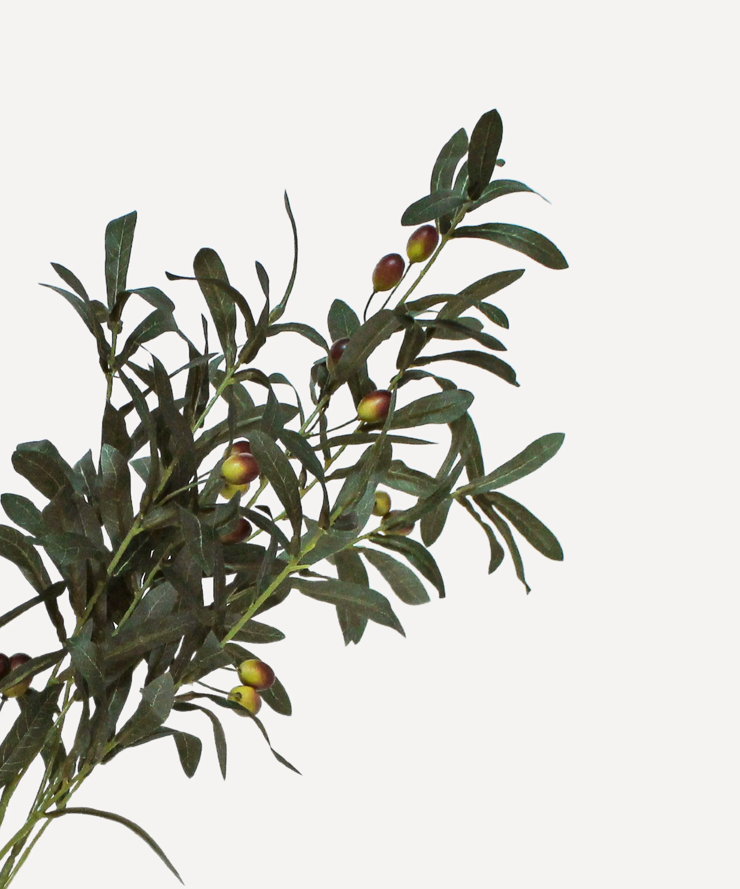 Olive Branches - Faux Foliage Stems - Tea, Forest - Image 12
