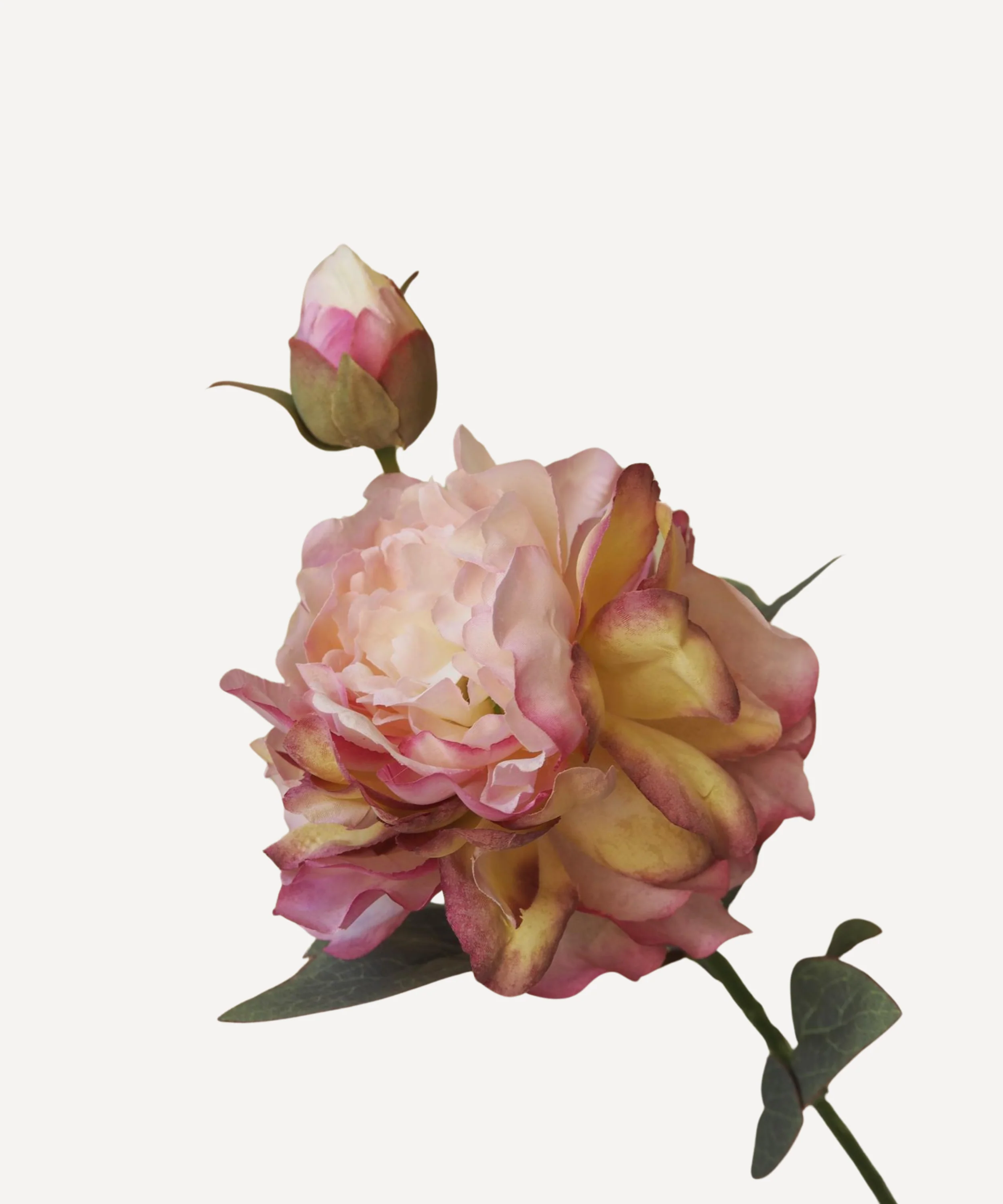 Peony - Faux Flower Stems - Image 10