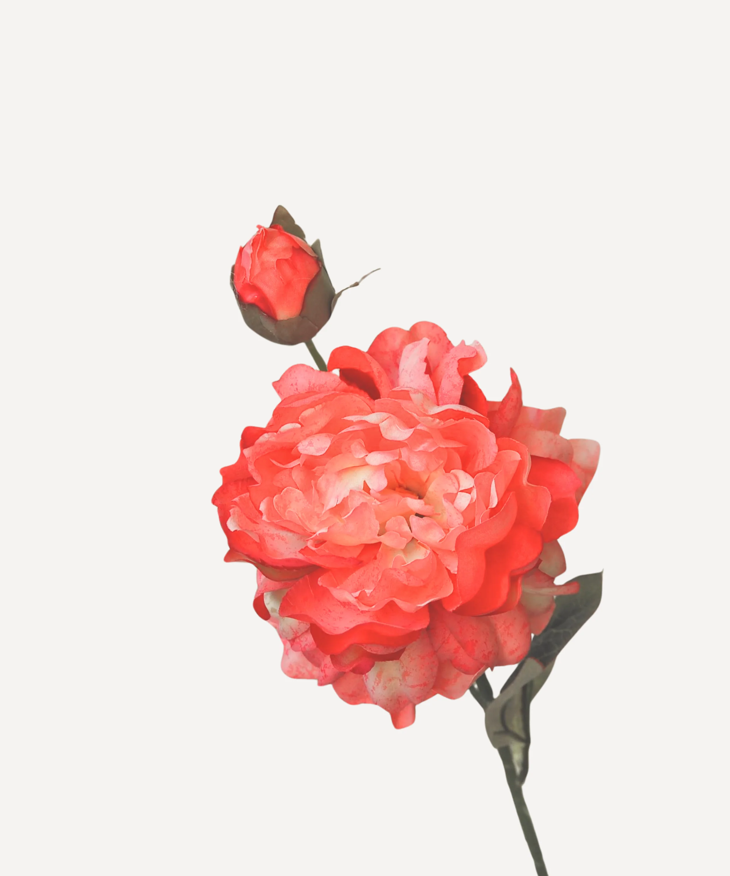 Peony - Faux Flower Stems - Image 7