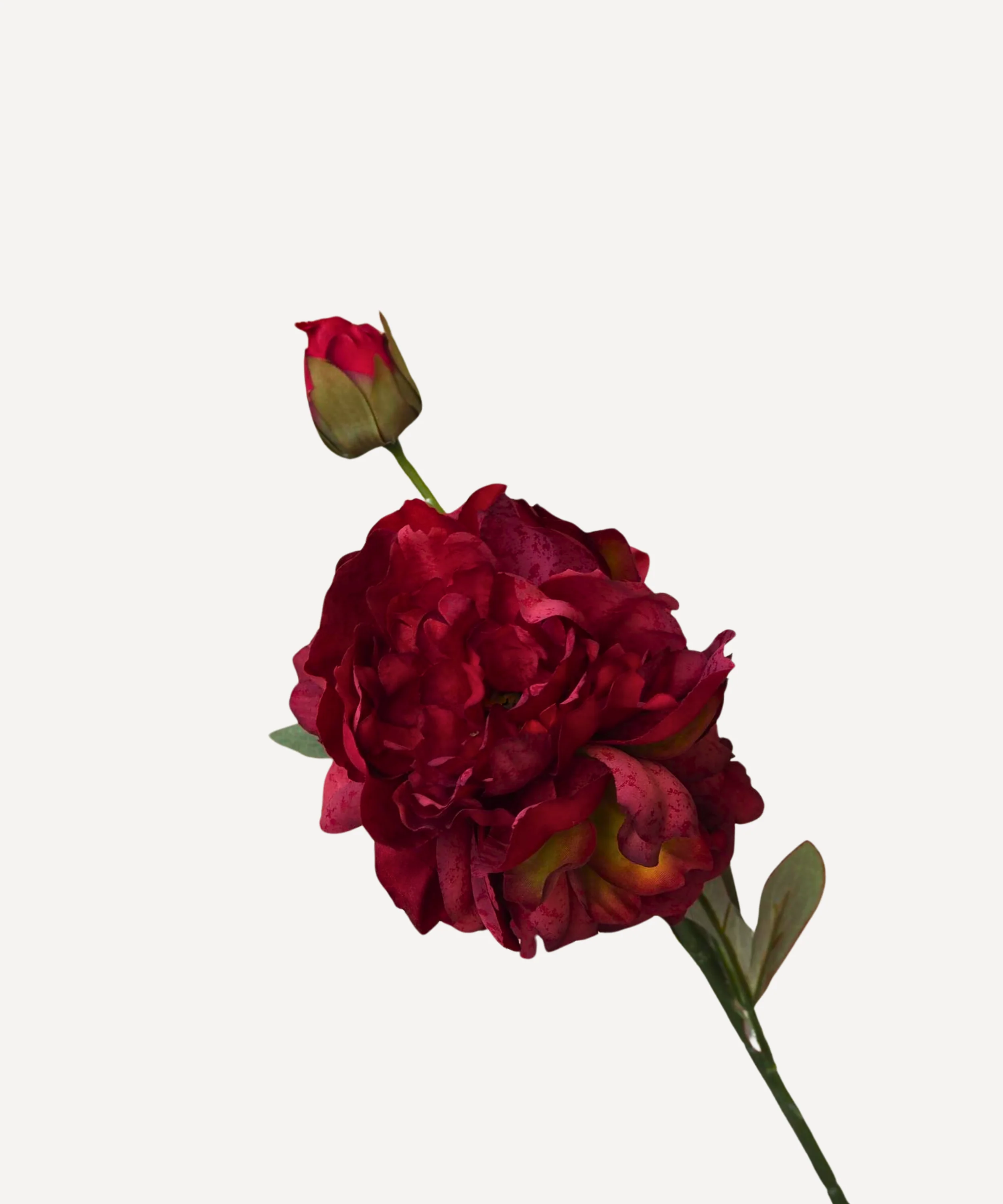 Peony - Faux Flower Stems - Image 8