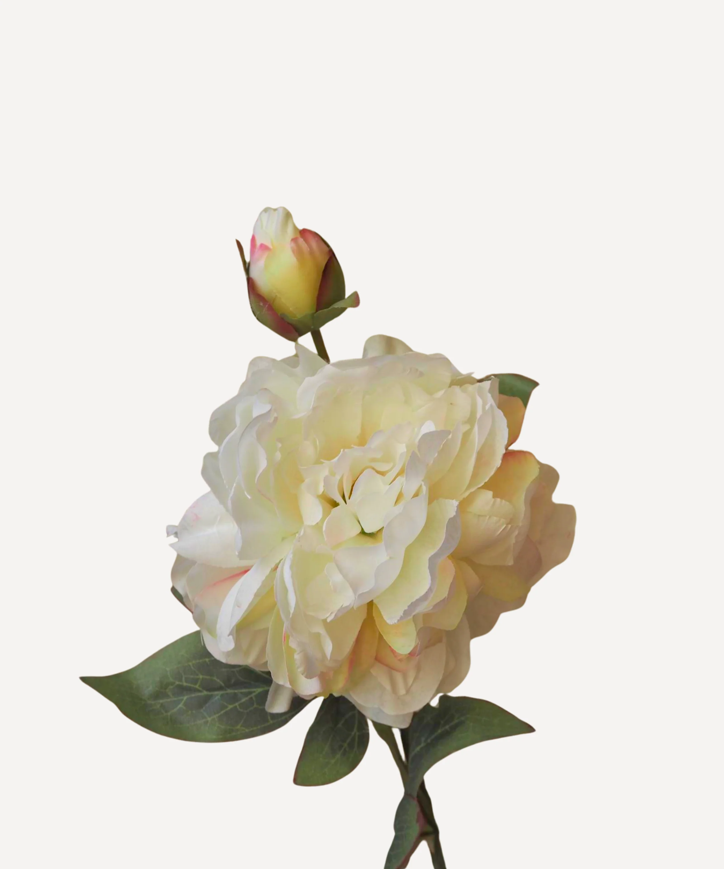 Peony - Faux Flower Stems - Image 9
