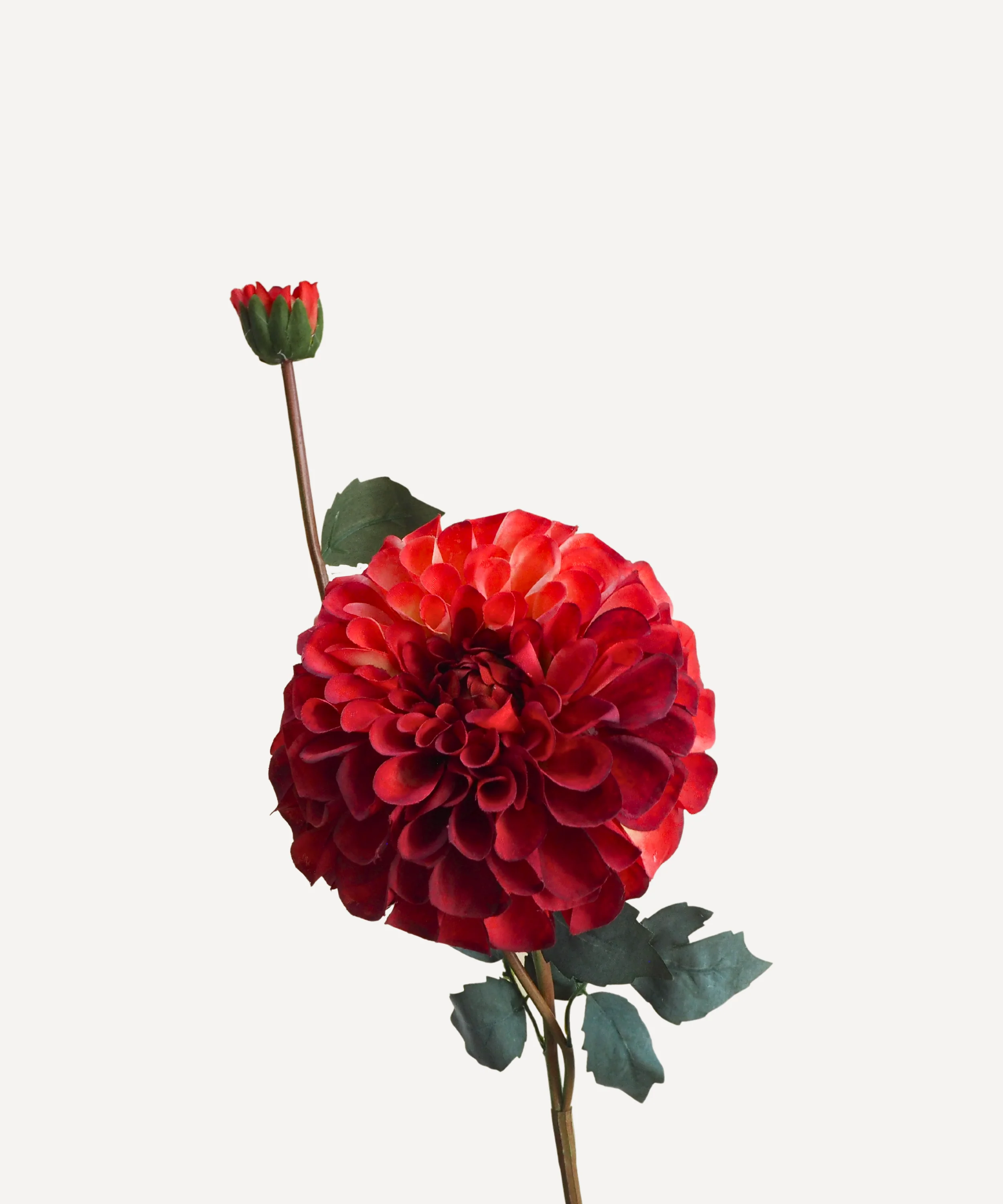 Pom Pom Dahlias - Faux Flower Stems - Blush Red, Soft Purple, Red, Cream - Image 10