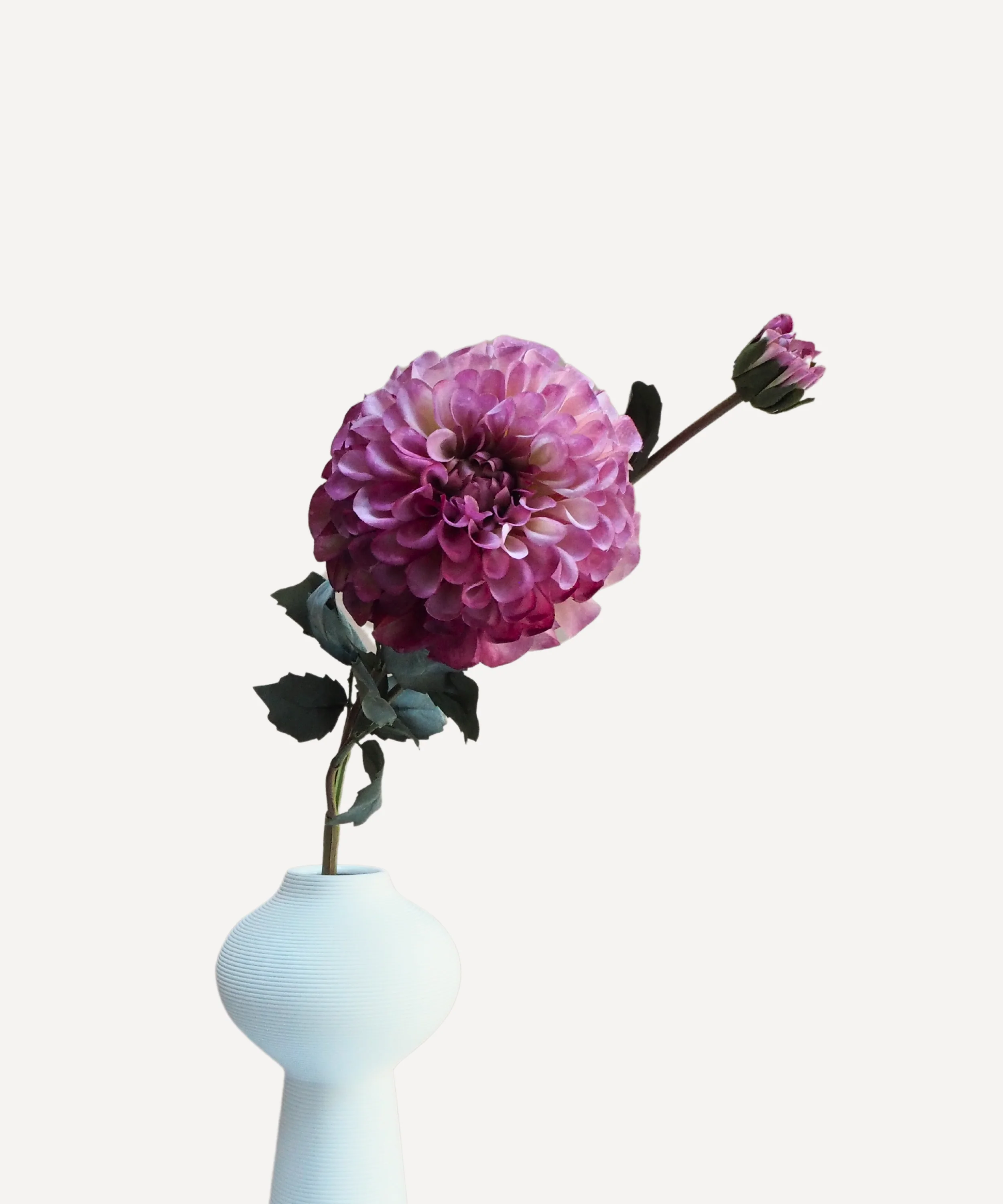 Pom Pom Dahlias - Faux Flower Stems - Blush Red, Soft Purple, Red, Cream - Image 12