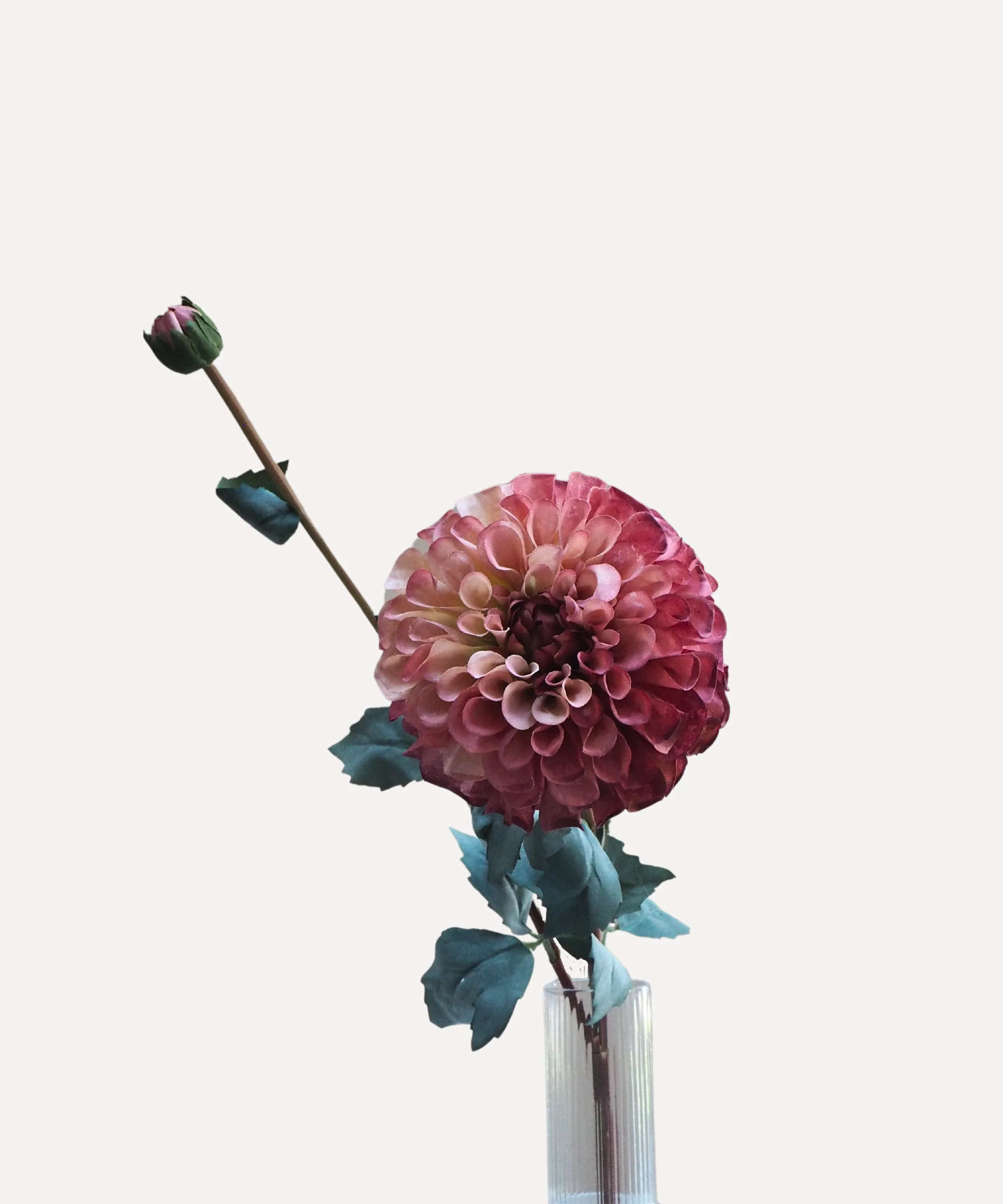 Pom Pom Dahlias - Faux Flower Stems - Blush Red, Soft Purple, Red, Cream - Image 13
